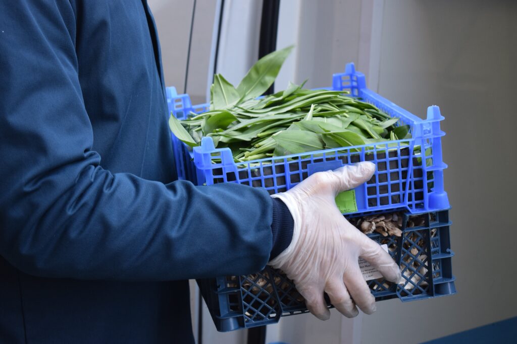 Loading produce in refrigerated van